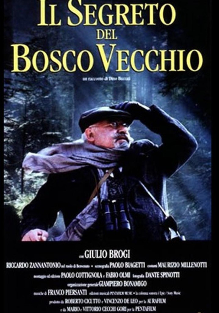 The Secret of the Old Woods