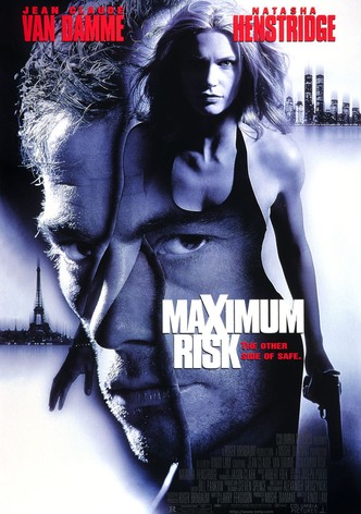 Maximum Risk