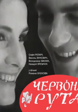 Chervona ruta