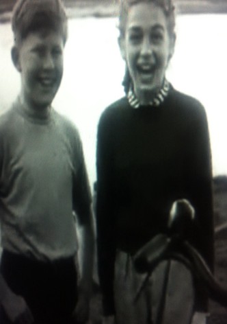 The Secret of the Forest