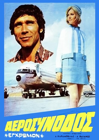 The Air Stewardess