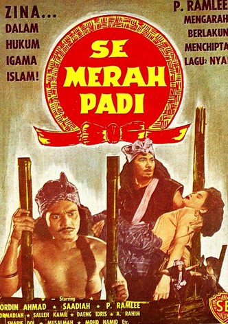 Semerah Padi