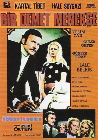 Bir Demet Menekse