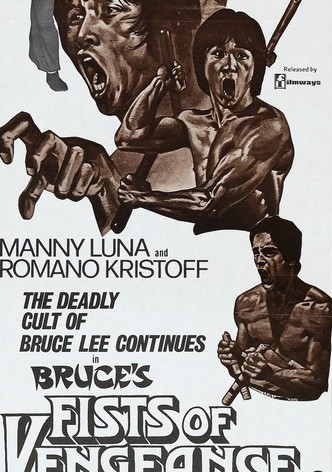 Bruce's Fists Of Vengeance