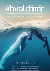 Hvaldimir - der Spionage-Wal