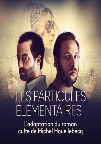 Les Particules Élémentaires
