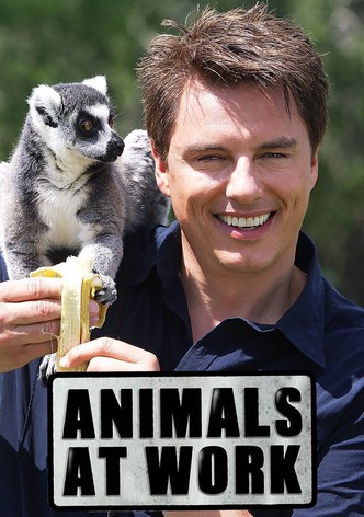 Lustpost - Sexy Toys auf Bestellung