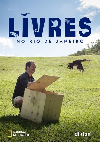 Rio, wunderbare Stadt