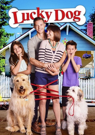 Lucky - Il cane fortunato