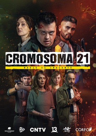 1. sezóna