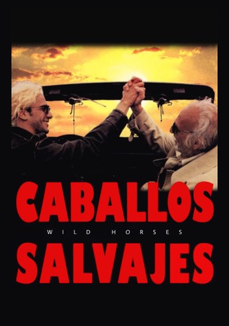 Cavalos selvagens