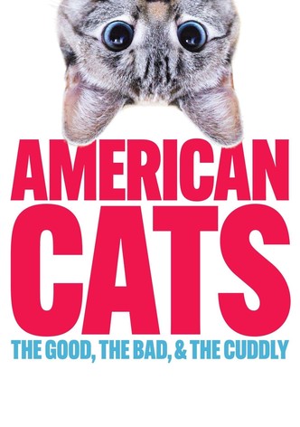 American Cats: The Good, the Bad, and the Cuddly