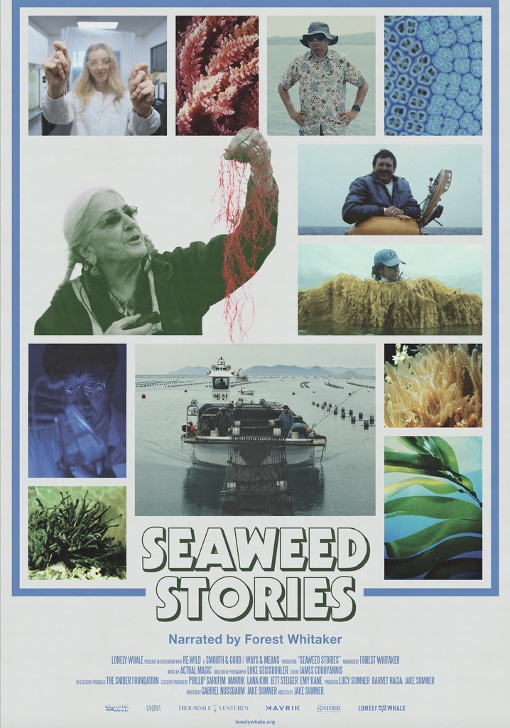 Seaweed Stories