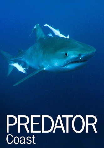 Predator Coast