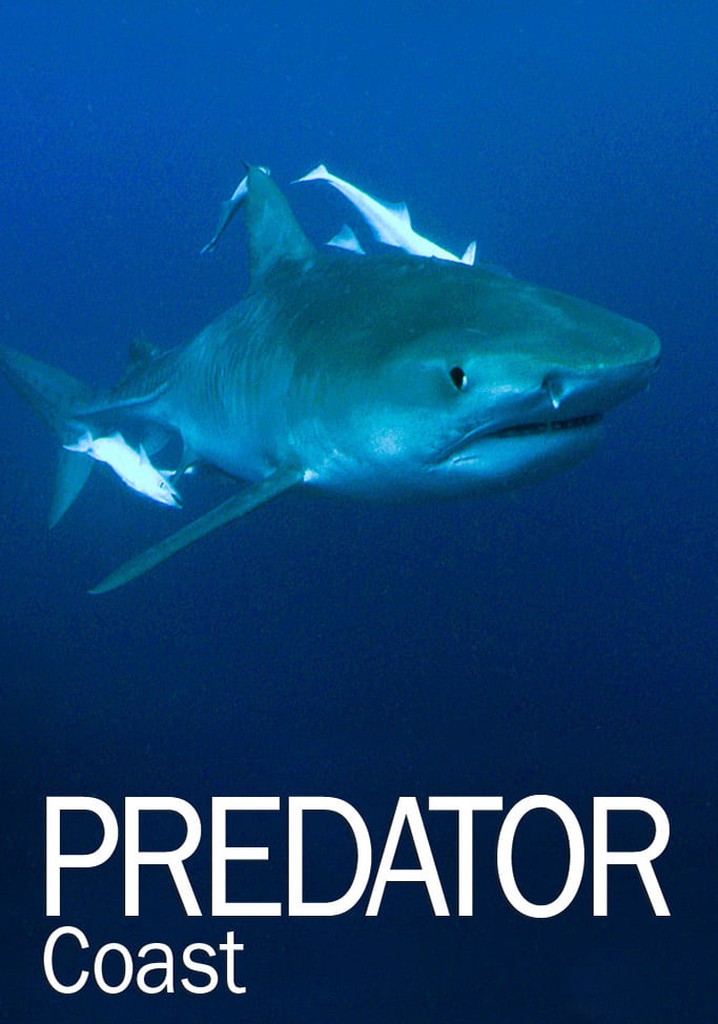 Predator Coast