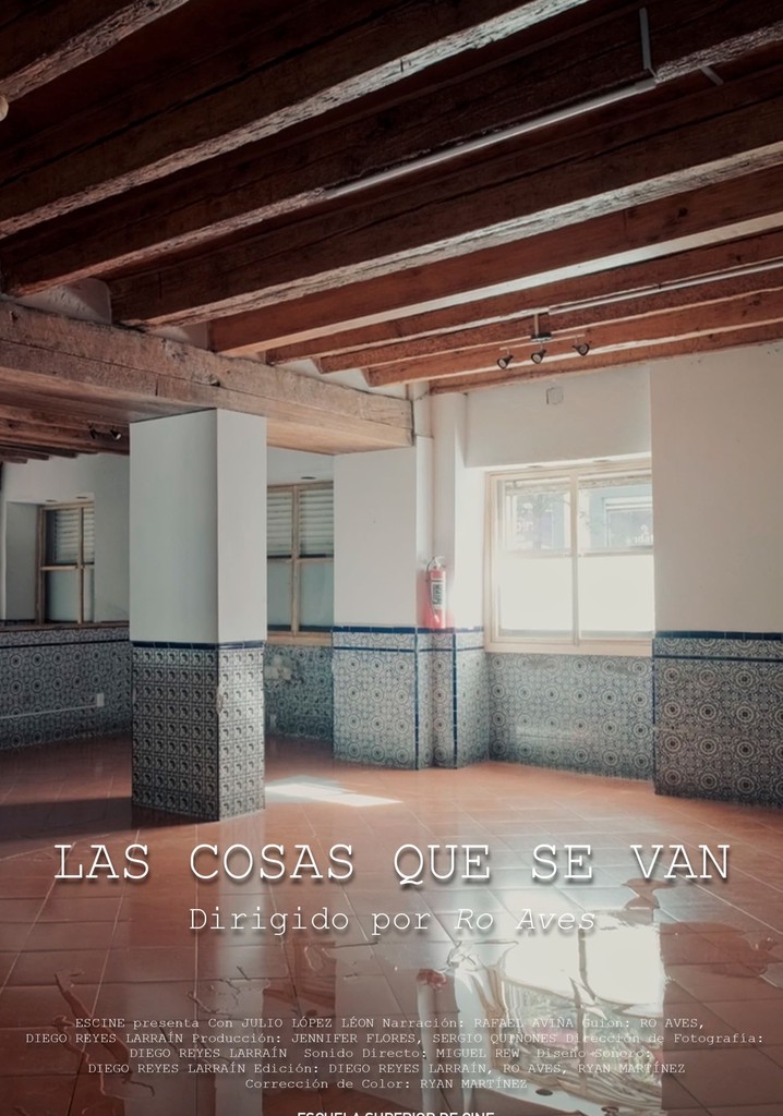 Las Cosas Que Se Van