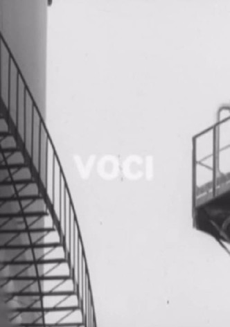 Voci