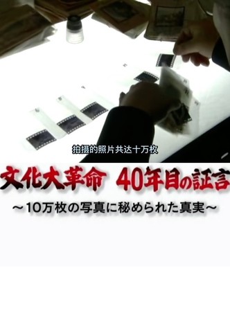 文化大革命４０年目の証言　１０万枚の写真に秘められた真実