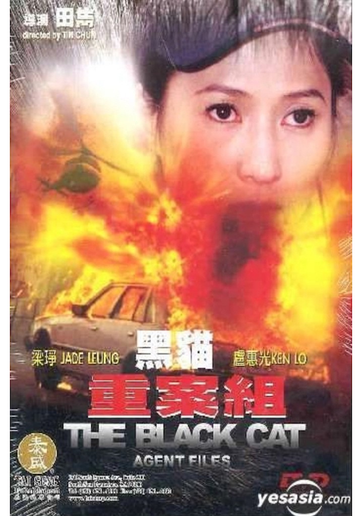 The Black Cat Agent Files