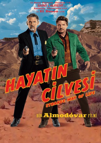 Hayatın Cilvesi