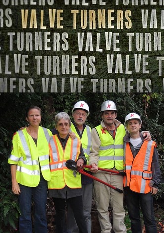 Valve Turners