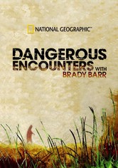 Dangerous Encounters