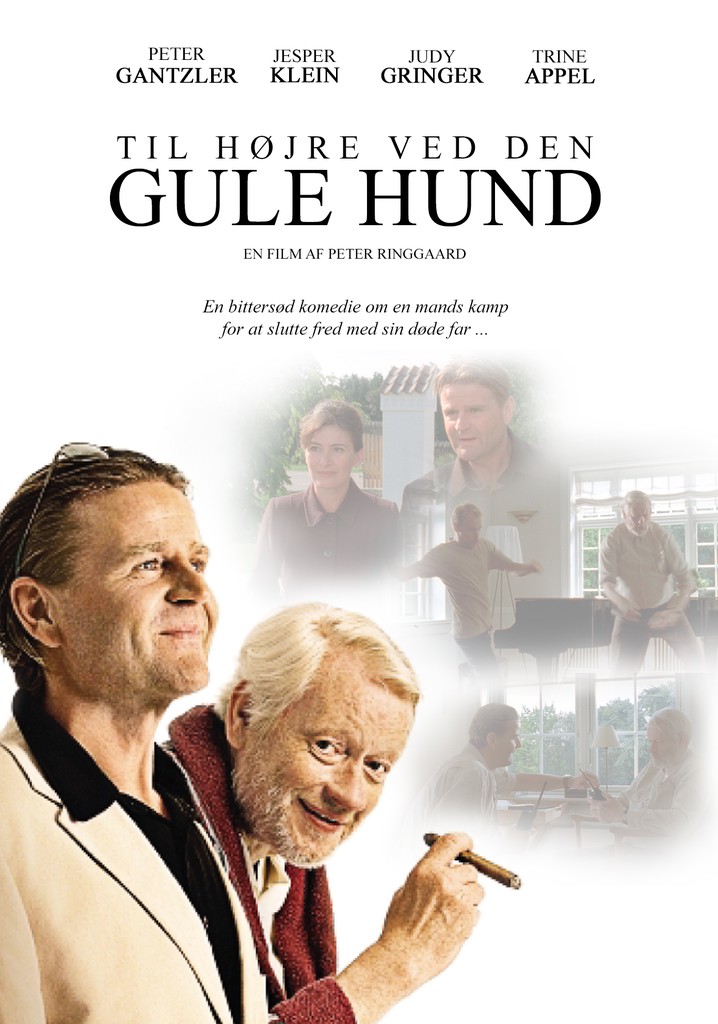 Turn Right by the Yellow Dog