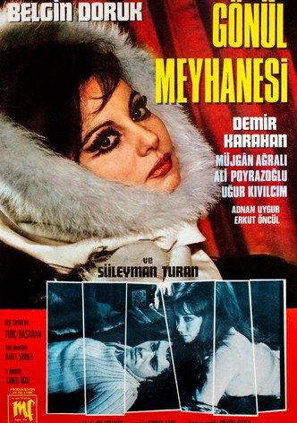 Gönül Meyhanesi