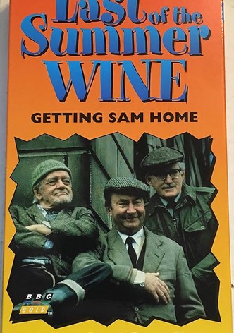 Getting Sam Home