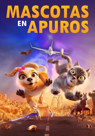 Mascotas en apuros