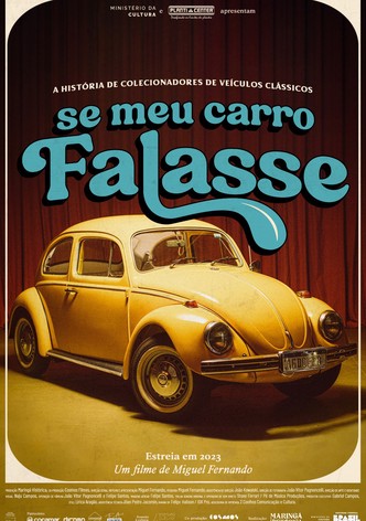 Se Meu Carro Falasse