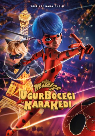 Mucize: Uğur Böceği ile Kara Kedi