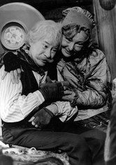 Pohádka o mokrosuchém stestí