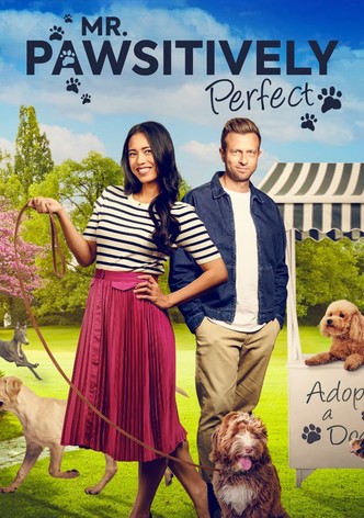 A spasso con l'amore