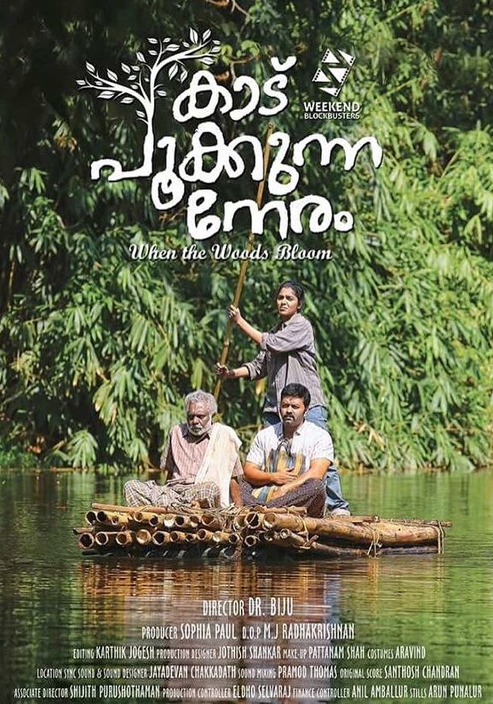 Kaadu Pookkunna Neram