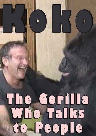 Koko: The Gorilla Who Talks to People