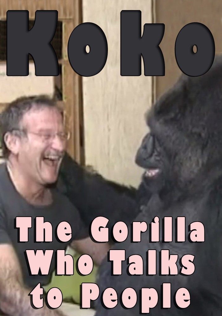 Koko: The Gorilla Who Talks to People