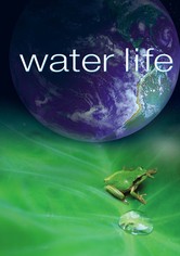 Water Life