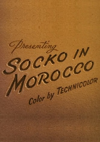 Socko in Morocco