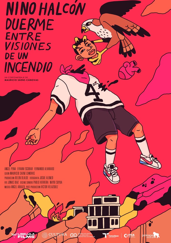 Hawk Boy Sleeps Amidst Visions of a Fire