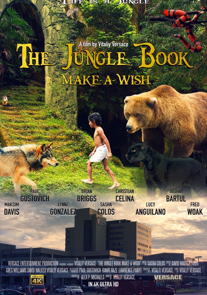 The Jungle Book: Make-A-Wish
