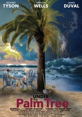 Under the Palm Tree