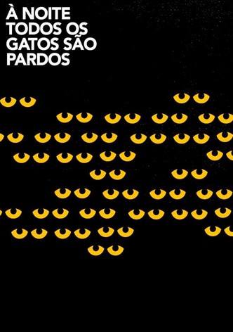 De Noite Todos os Gatos São Pardos