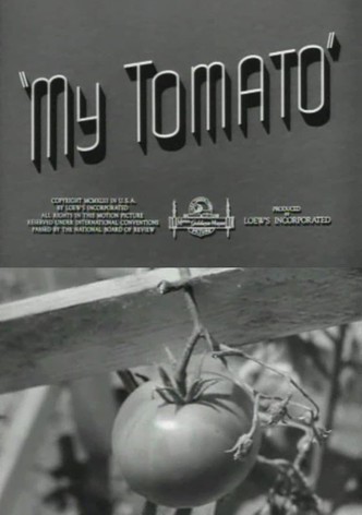 My Tomato
