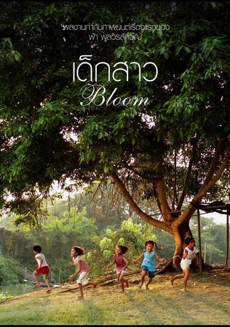 Bloom
