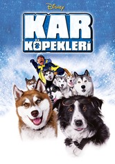 Kar Köpekleri