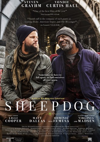 Sheepdog