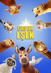 Cesur Eşek