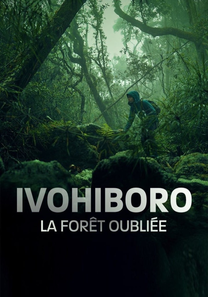 Ivohiboro, la forêt oubliée
