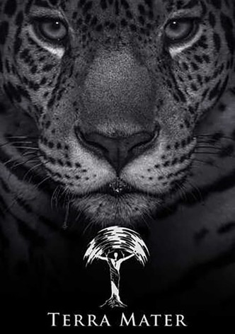 Země: Základy naší planety